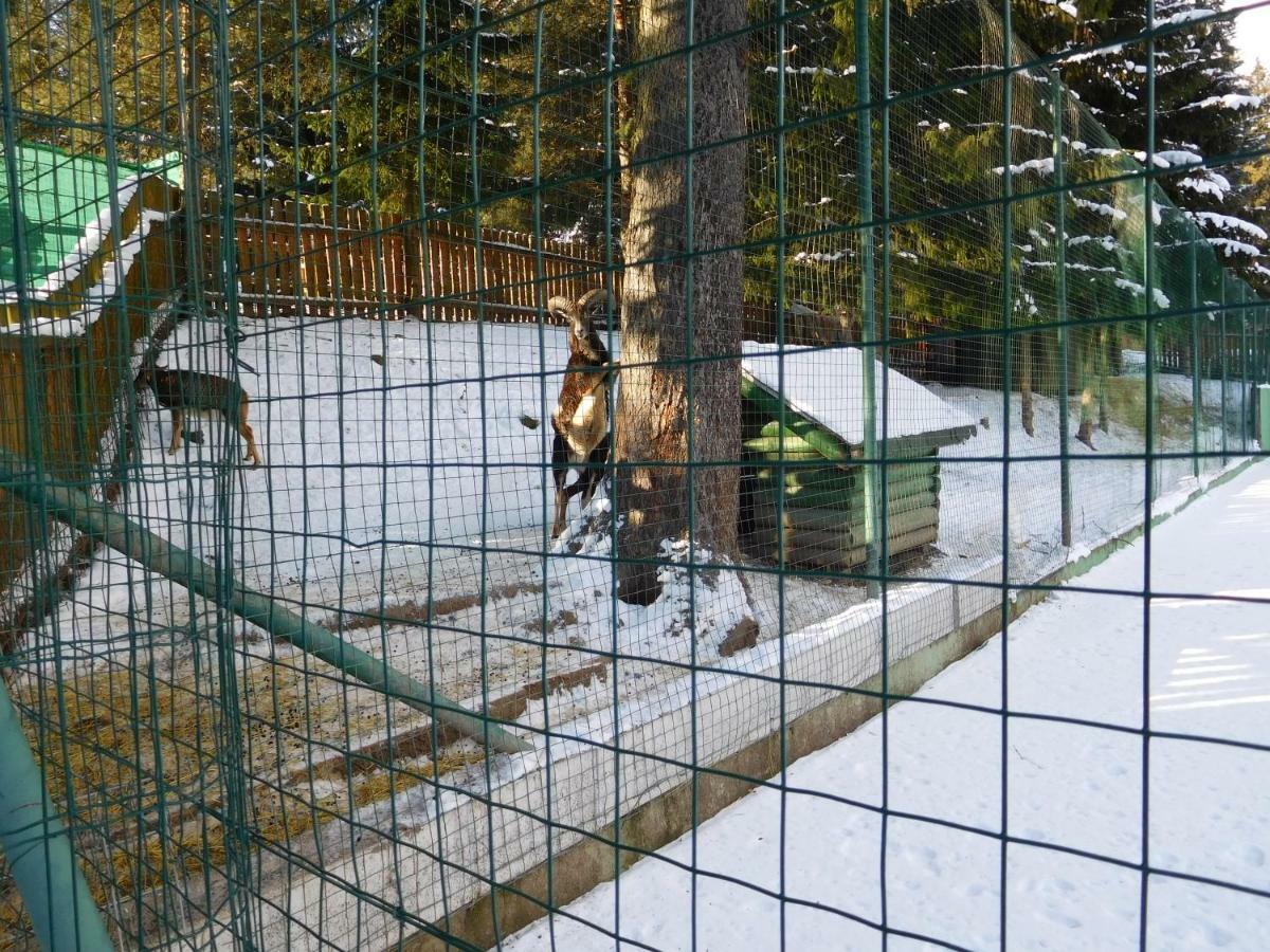 Апартаменты High Tatras - Patris 27 Татранска-Штрба Экстерьер фото