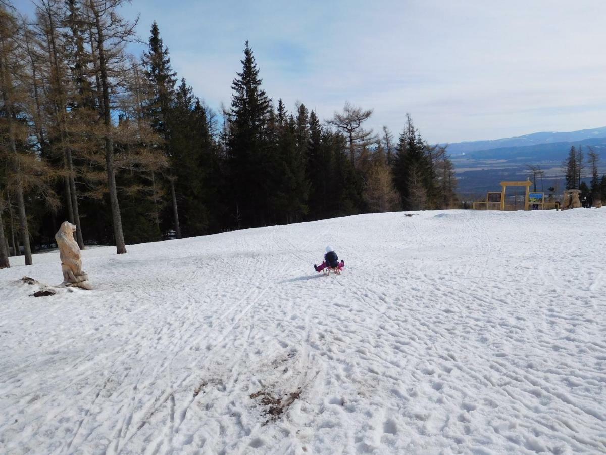 Апартаменты High Tatras - Patris 27 Татранска-Штрба Экстерьер фото