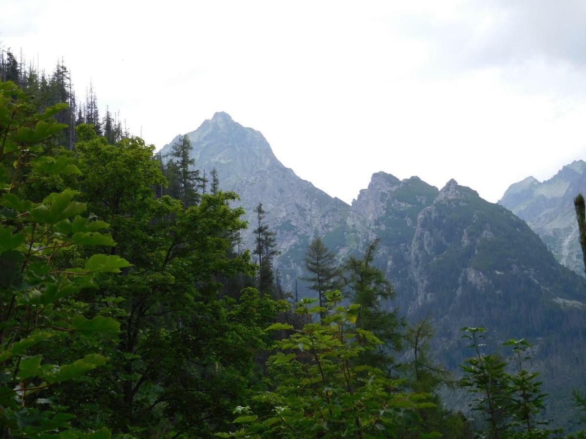 Апартаменты High Tatras - Patris 27 Татранска-Штрба Экстерьер фото